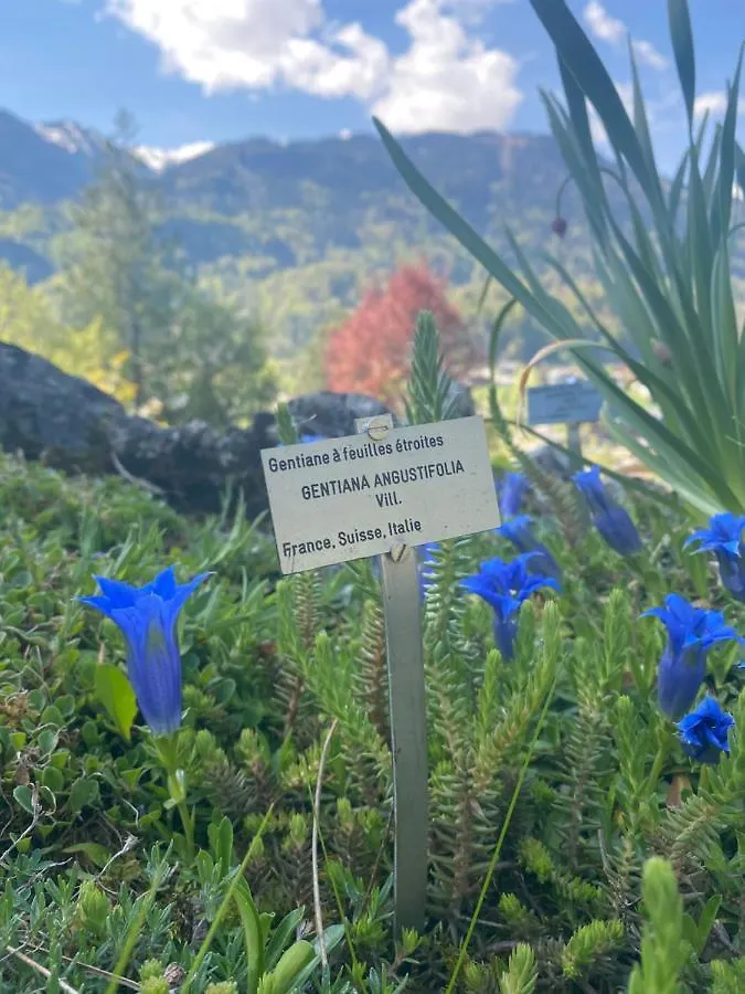 Appartement Rez-De-Chaussee, Cosy T3 4 A 6 Pers Avec Piscines Interieure & Exterieure A Samoens En Haute-Savoie Apartman